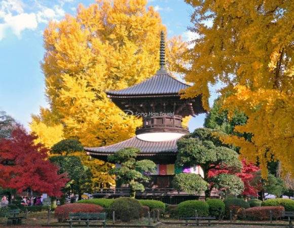 “Bật mí” bí quyết tiết kiệm tiền khi du lịch Nhật Bản