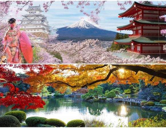 Lựa chọn thời điểm thích hợp để du lịch Nhật Bản