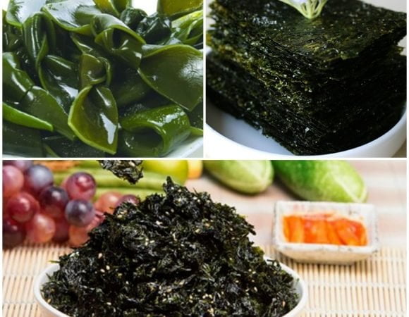 Rong biển – nguyên liệu đặc biệt của ẩm thực Hàn Quốc