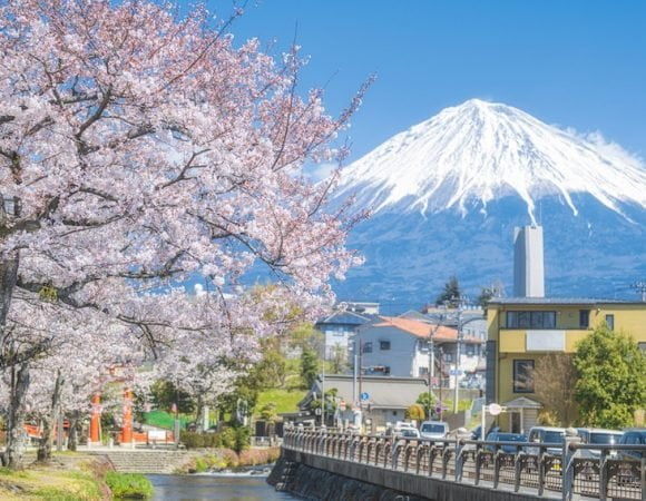 Tỉnh Shizuoka của Nhật Bản thu hút khách du lịch với 25 địa điểm hấp dẫn