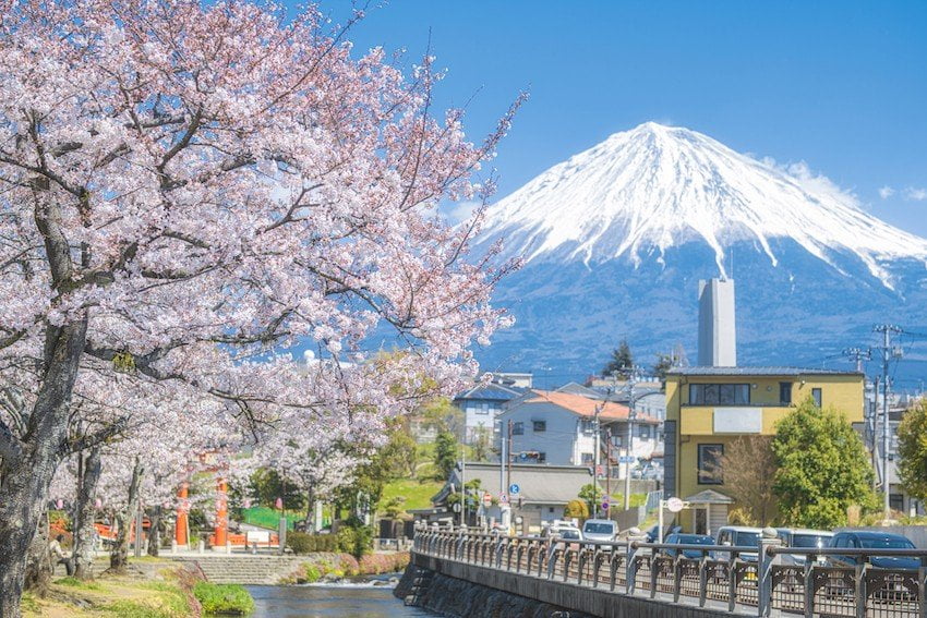 Tỉnh Shizuoka của Nhật Bản thu hút khách du lịch với 25 địa điểm hấp dẫn