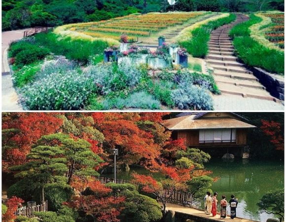 Vẻ đẹp “hút hồn” của 6 khu vườn và công viên ở thành phố Kobe, Nhật Bản