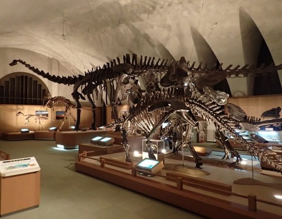 Top 10 Bảo tàng hấp dẫn đáng ghé thăm tại tỉnh Shizuoka, Nhật Bản