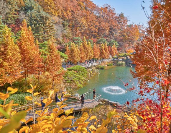 “Siêu lòng” với 7 Công viên Bách thảo ở Gyeonggi, Hàn Quốc