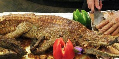 Thịt cá sấu nướng – món ăn đậm đà, tinh hoa của ẩm thực nước Úc