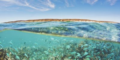 Bờ biển Ningaloo ở Úc – Nơi có rặng san hô lớn và đẹp nhất thế giới