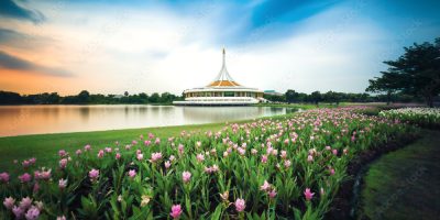 Thả mình trong cảnh sắc thiên nhiên tuyệt vời tại Suan Luang Rama IX Park, Thái Lan