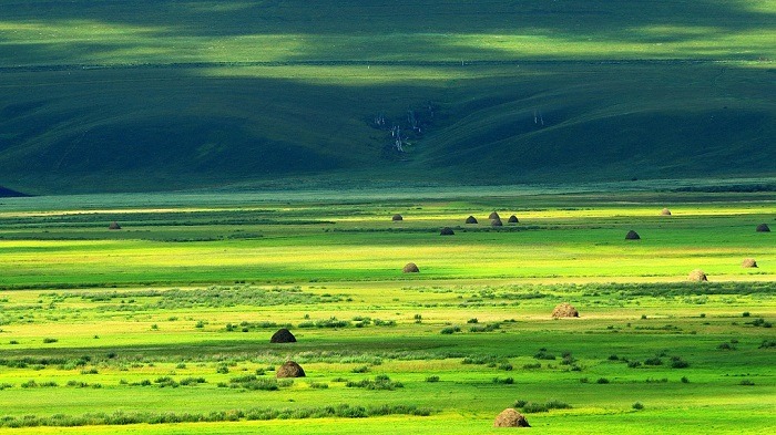 Đồng cỏ Hulunbuir Trung Quốc.