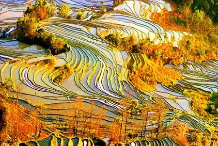 Ruộng bậc thang Hani, Vân Nam