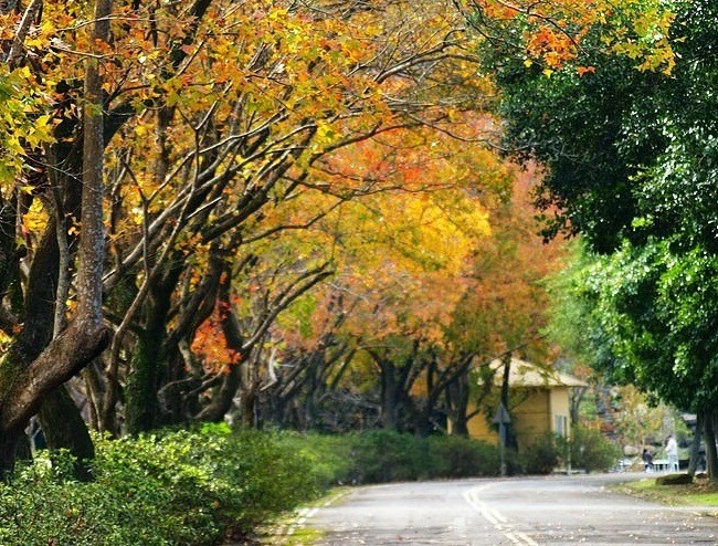 Xitou Nature Education Area