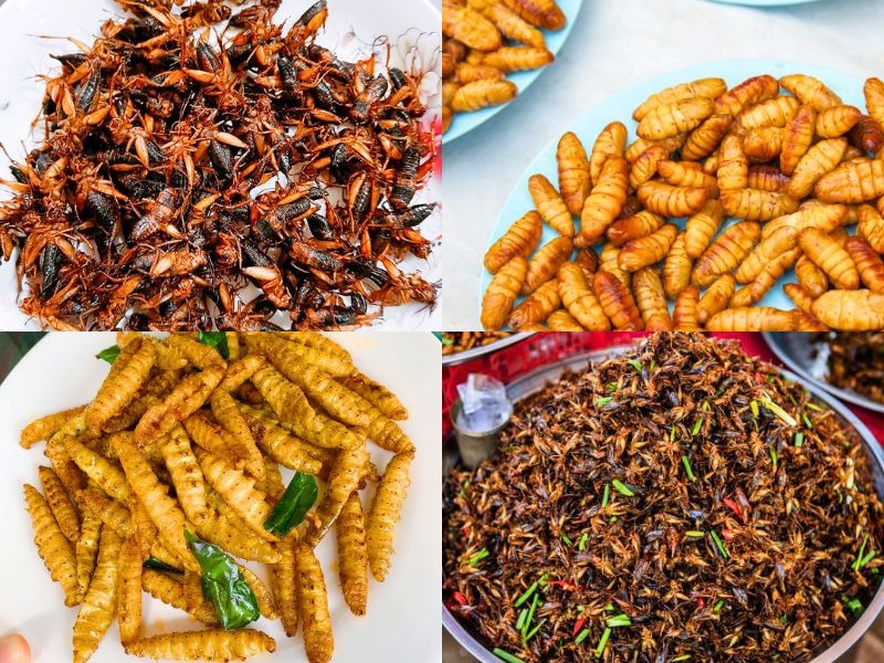 Món ăn được làm từ côn trùng ở chợ skun