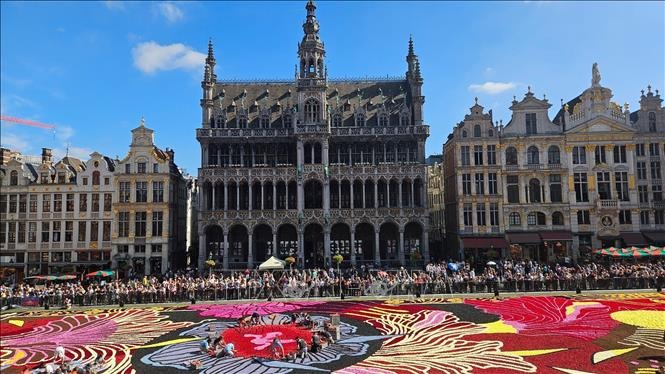 Thảm hoa Brussels 2024