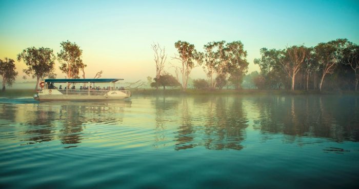 Yellow Water Cruises