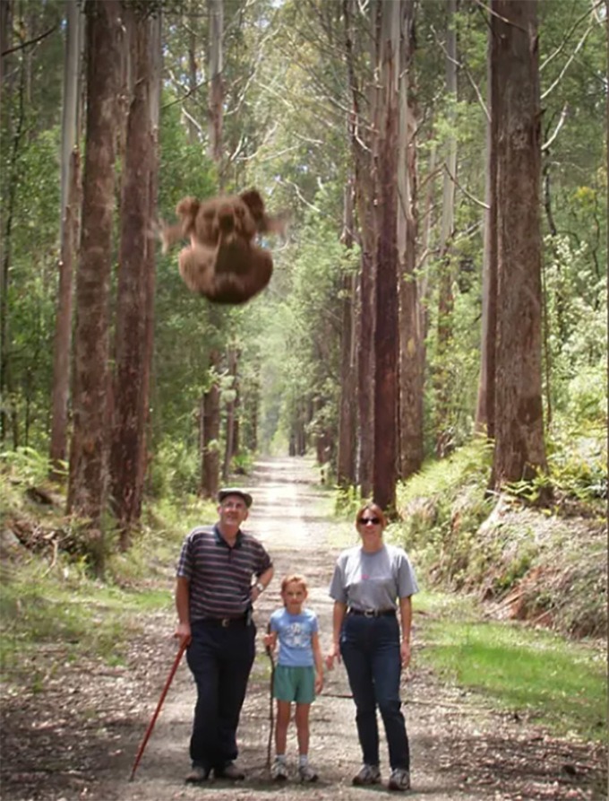 Bức ảnh (đã được photoshop) minh họa về loài gấu nhảy tại Australia.