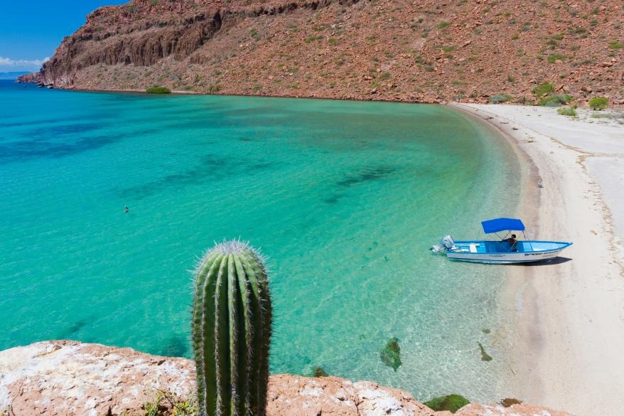 Costa Palmas