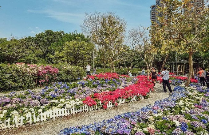 Một góc tại Công viên Rừng Da'an tại Đài Bắc