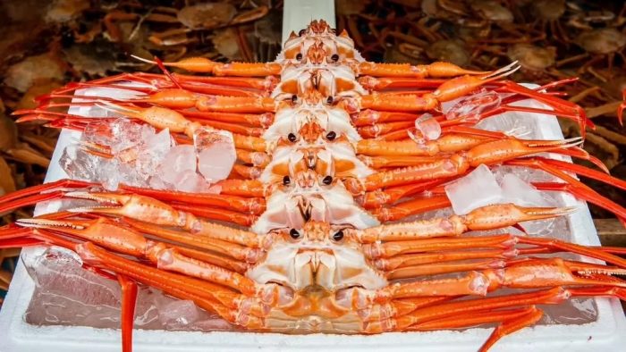 Những thùng cua tuyết chất lượng.