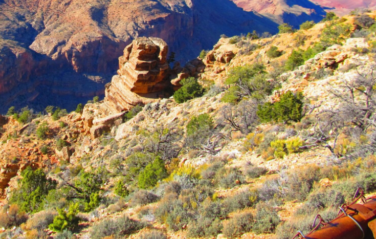 Grand Canyon vào mùa xuân