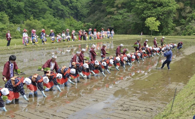 Lễ hội Kawahira Hanataue