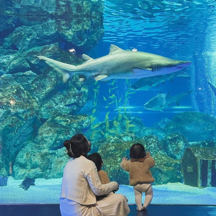 Thủy cung Lotte Aquarium