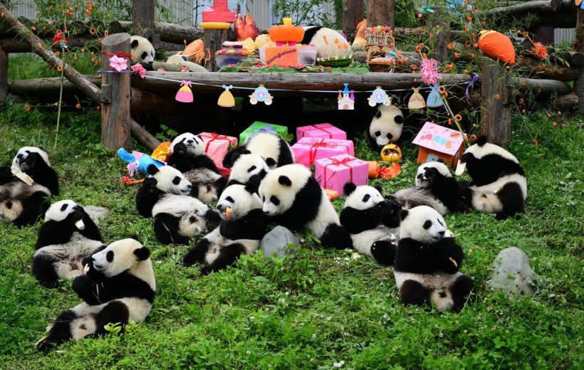 TOUR ĐÓN TẾT TÂY 2027 TRÙNG KHÁNH - THÀNH ĐÔ - CỬU TRẠI CÂU [7N6Đ]